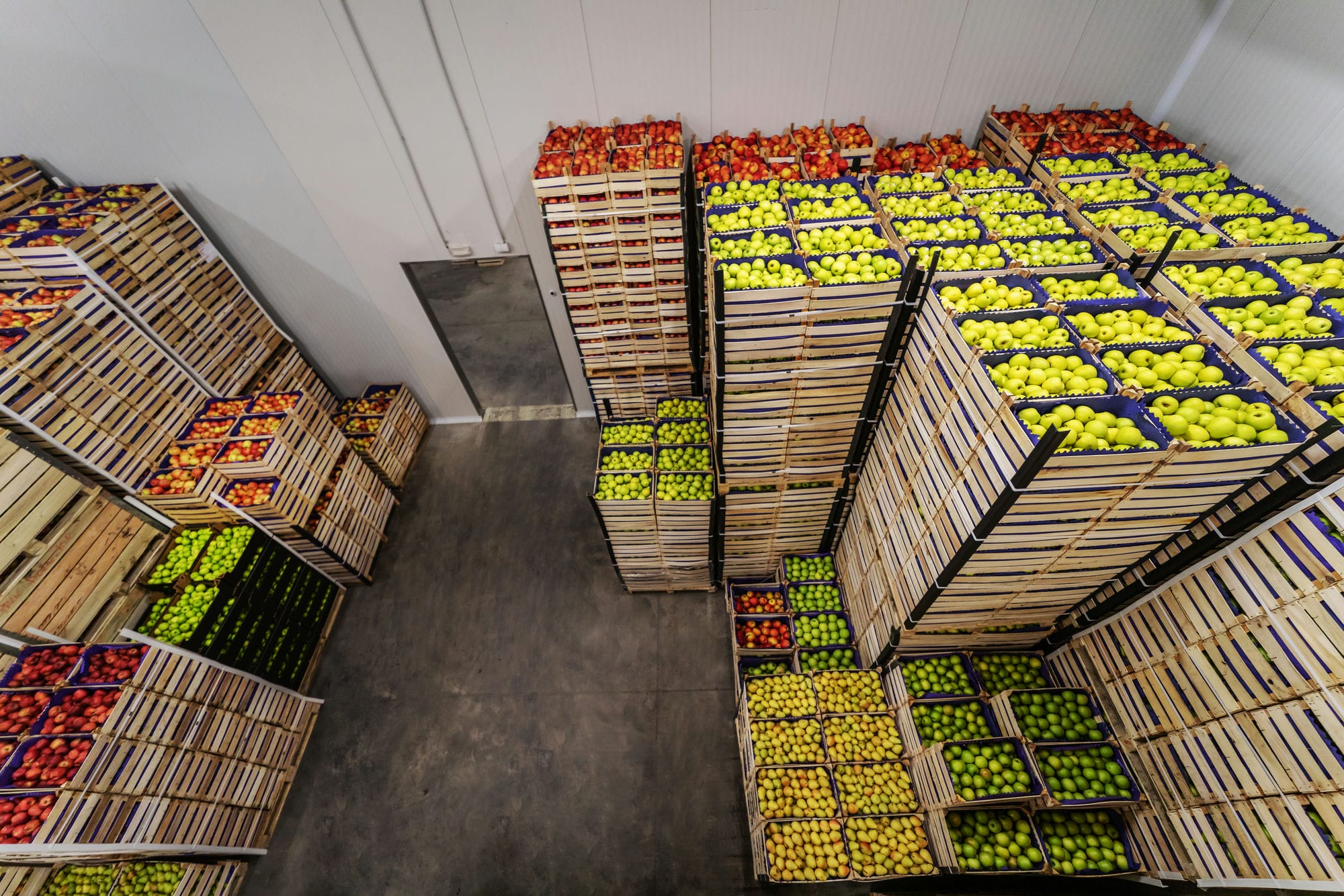 freshfruitvegetables.co